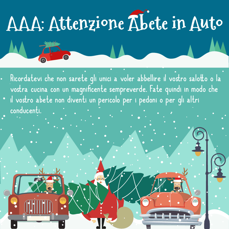 Come trasportare un albero di Natale in auto 1