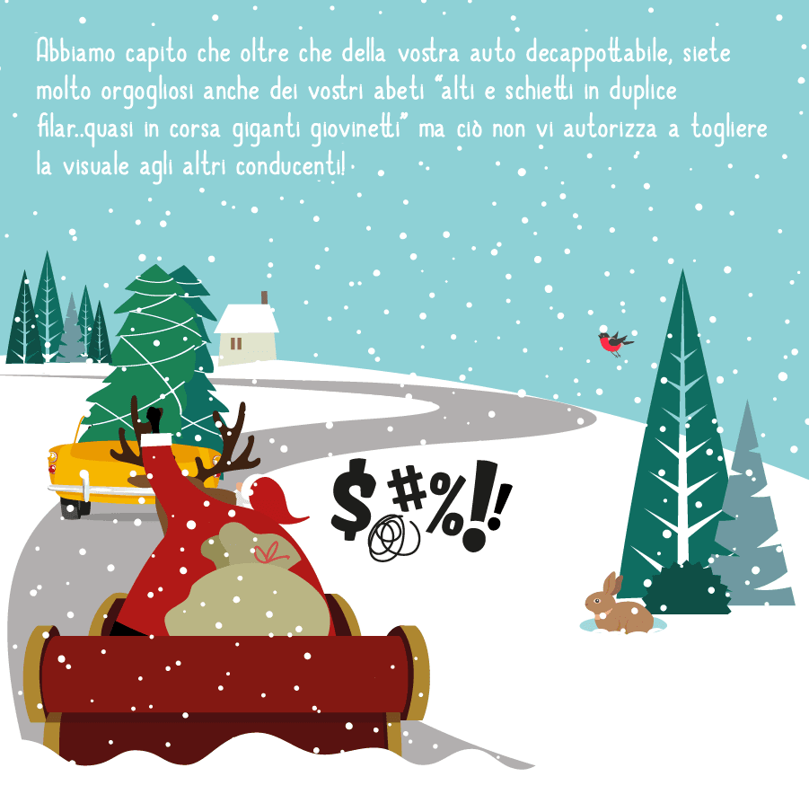 Come trasportare un albero di Natale in auto 2